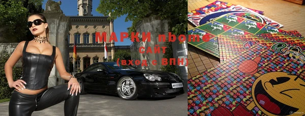 индика Билибино